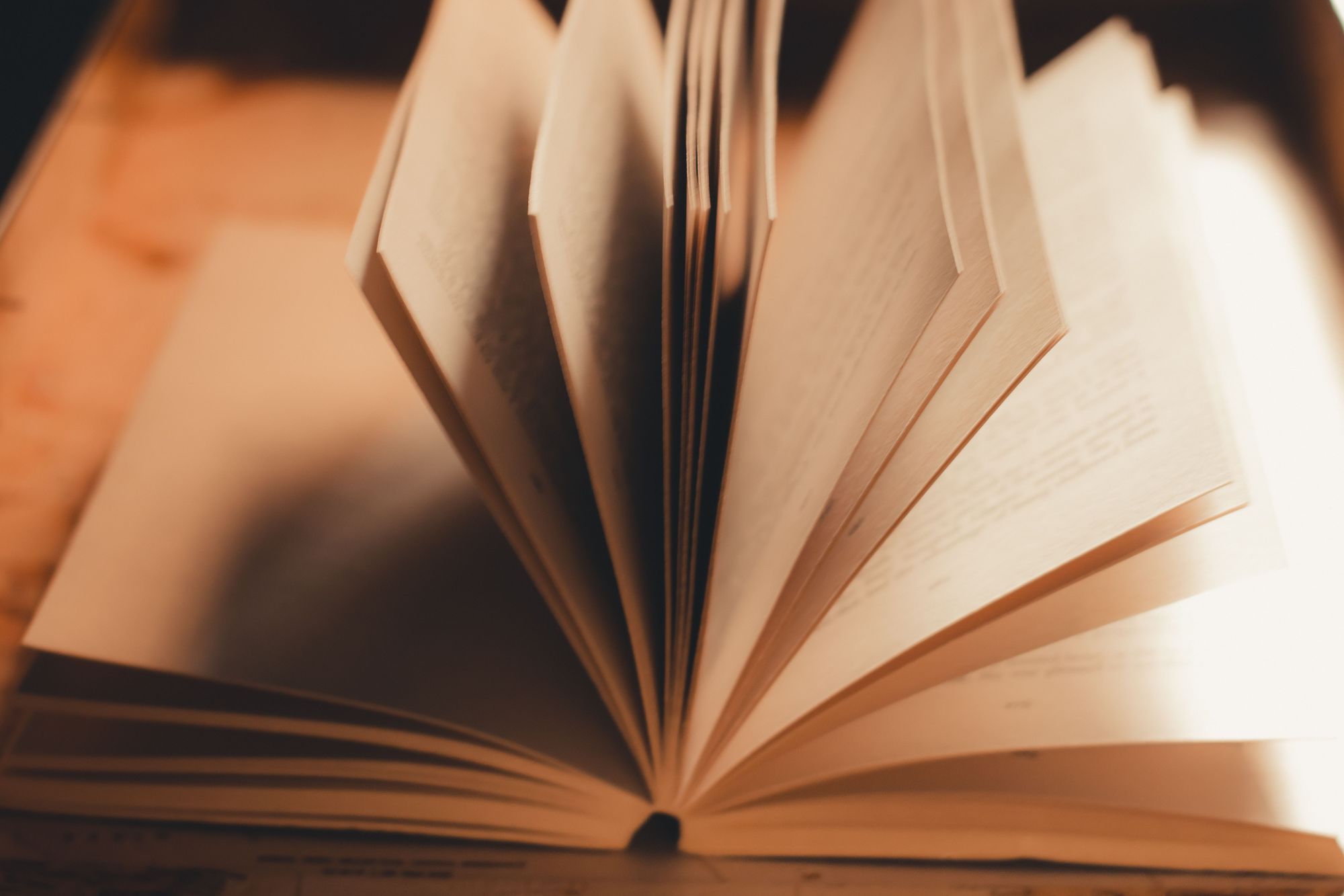 A.L. Beck Author – Discover Captivating Stories by Tammy Dasti Fisher