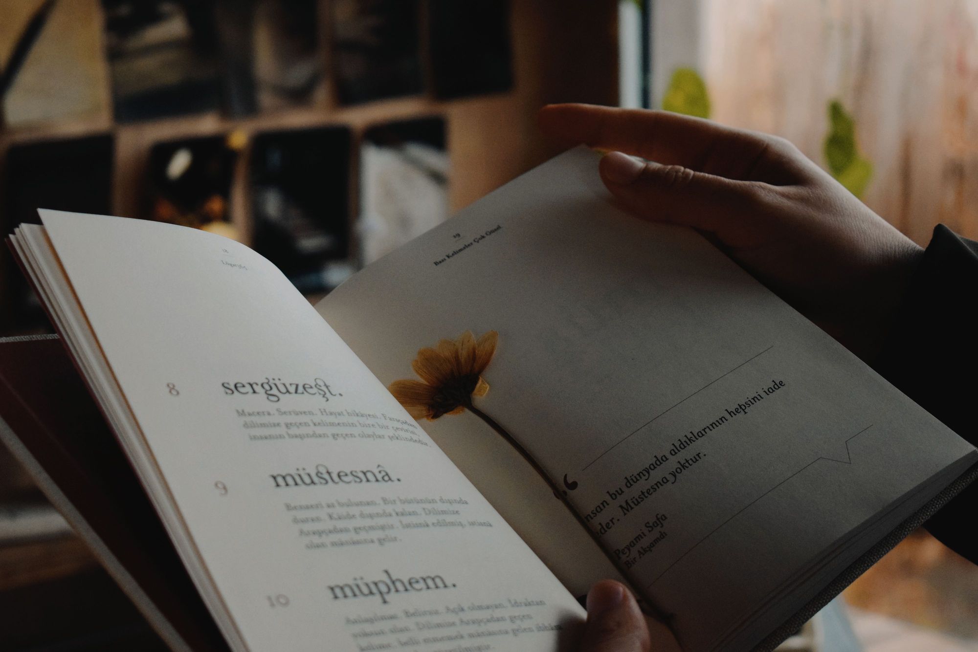 The Lasting Impact of Historical Fiction on Modern Readers